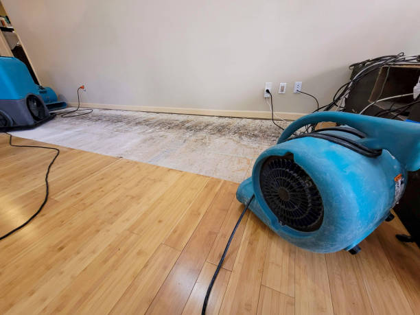 Professional Ceiling Water Damage Repair technician working in Cameron, SC